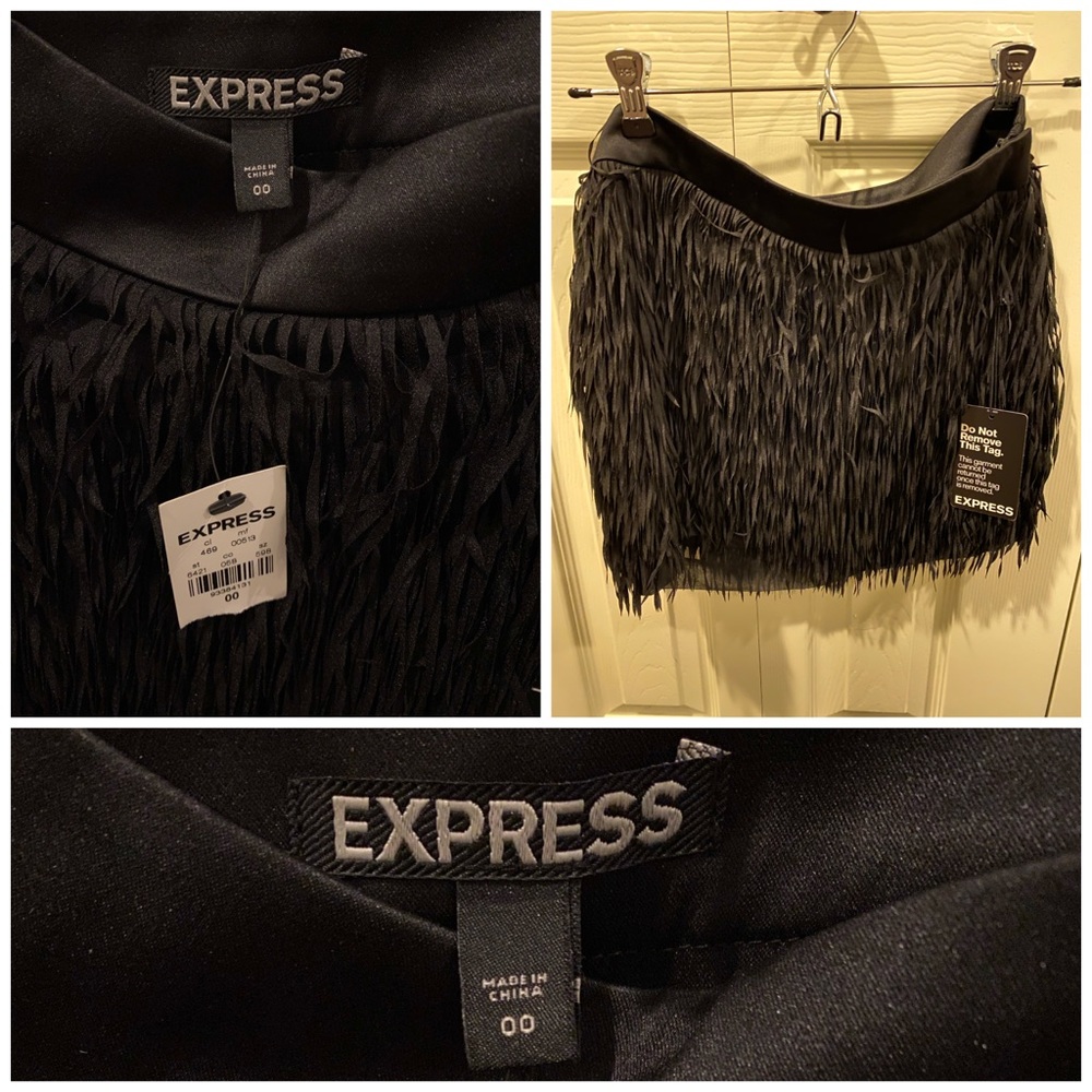 NWT Express skirt, size 00